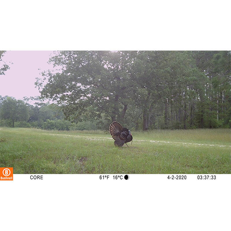 119949C_Daytime_Image_1